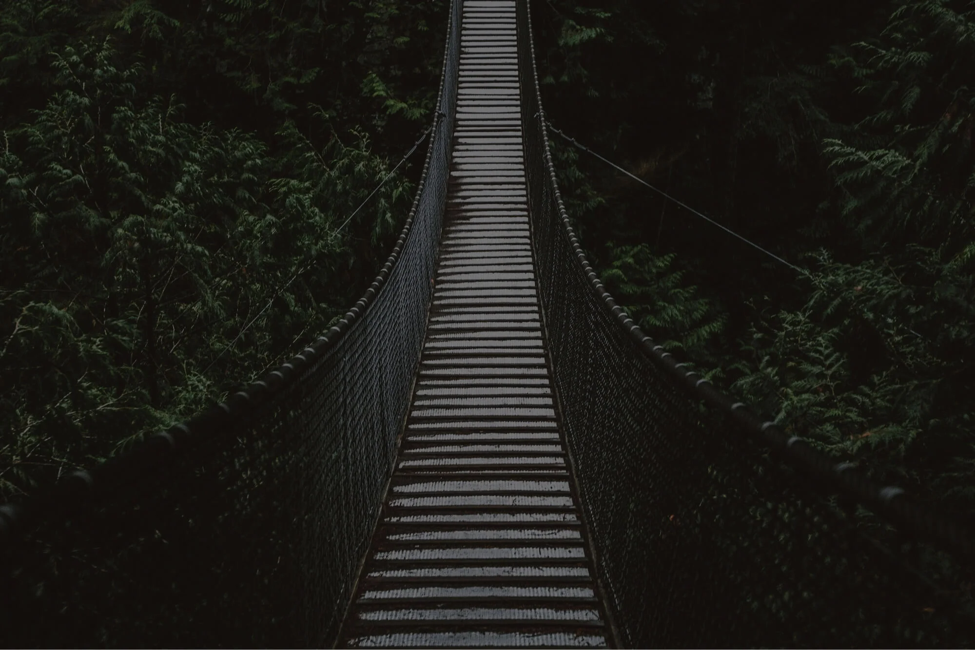 Bridging the Data Divide: How To Unlock Full-Funnel Intelligence and Drive Growth